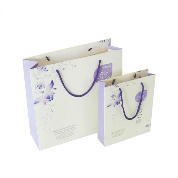 Custom Design Ribbon Handle Black Luxury Jewelry Cosmetic Gift Clothing Shopping Packaging 250 Gsm Art Paper Bag for Clothes