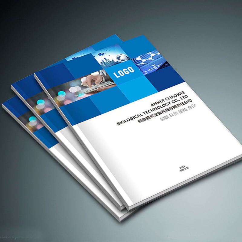 High-Quality Business Saddle Stitch Booklets with Custom Design and Professional Printing Service