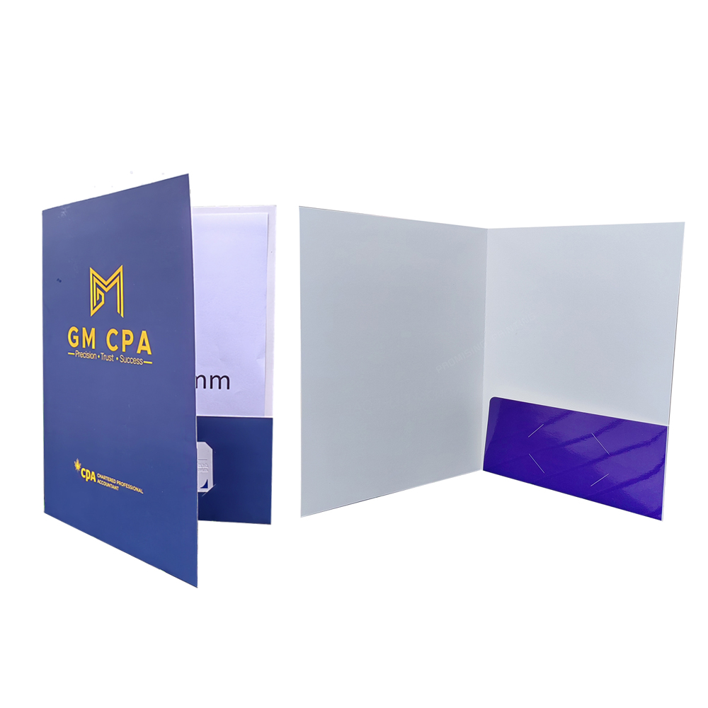 High Quality Custom Eco-friendly Waterproof Presentation Folders with Storage Photos and Cardboard Design