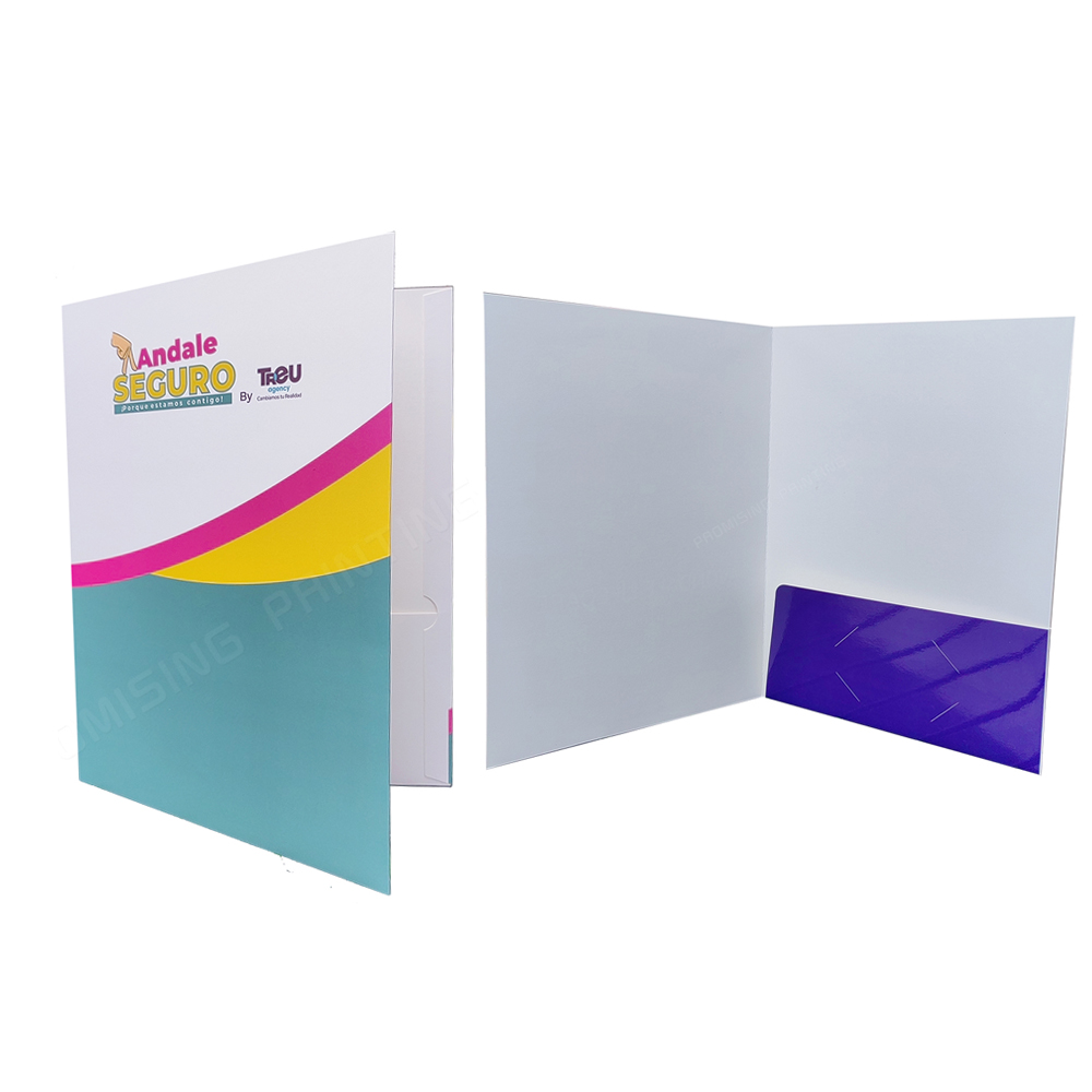 A4 Two Pocket Expanding Presentation File Folder Eco-friendly Waterproof Custom Logo Organizer with CD Sleeves